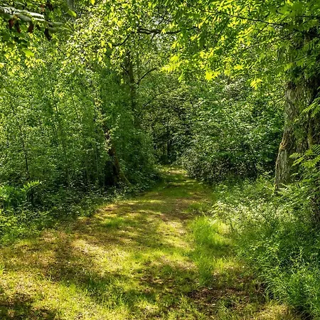 Casa vacanze Awesome In With Kitchen Bogense